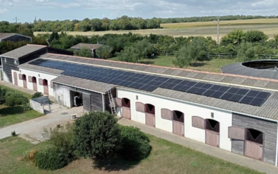 Haras ARS Distribution – Salles sur Mer (17)